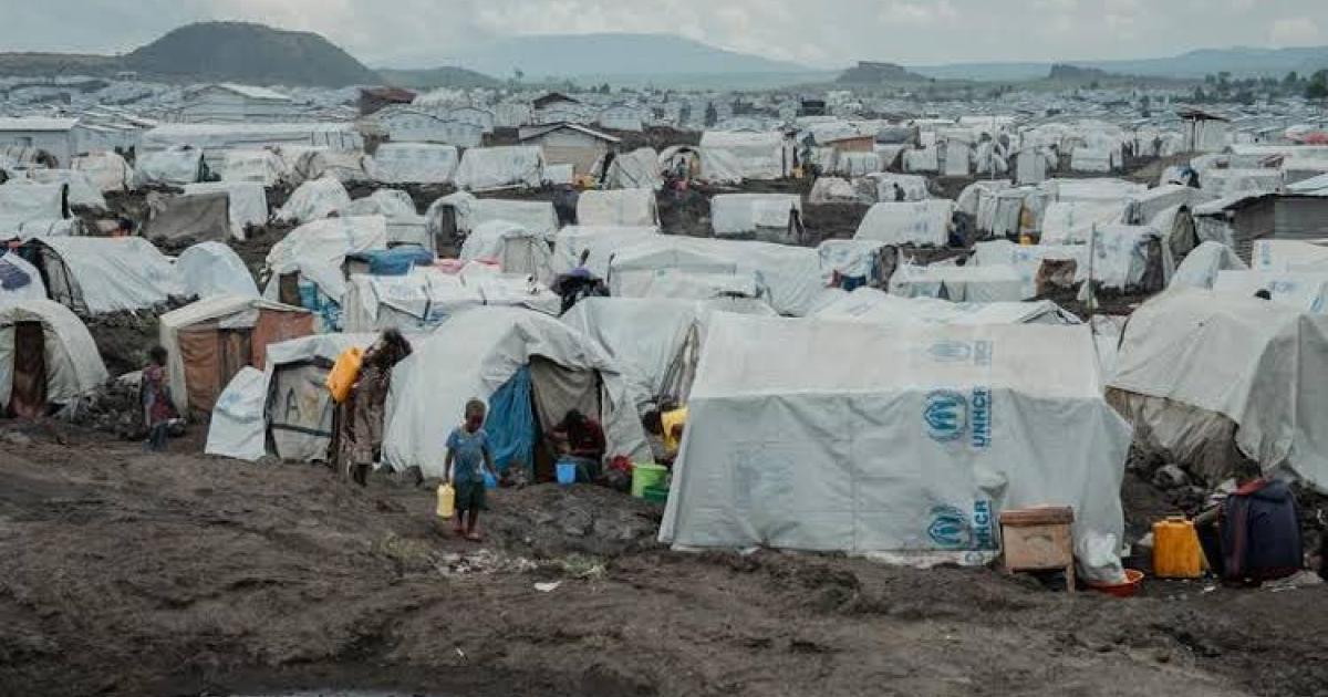 Déplacés à Walikale